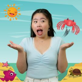The Little Crab