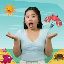 The Little Crab