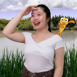 The Magic Fish