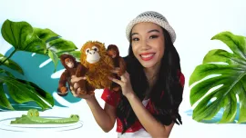 Mr. Monkey & Mr. Crocodile
