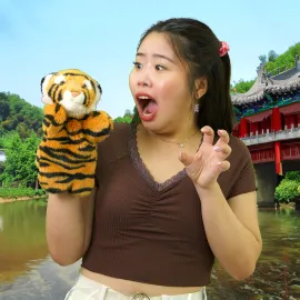 The Tiger & the Crying Baby