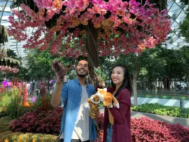 The Magic Tree