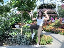 The Magic Beanstalk