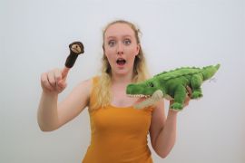 The Monkey & The Crocodile